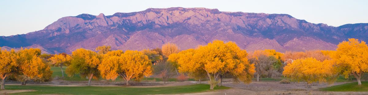 Sandia Mountains in Albuquerque with fall foliage in the foreground